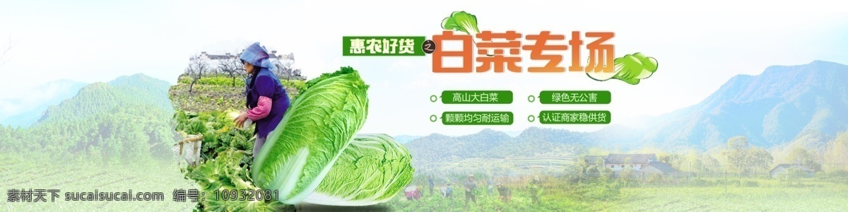 大白菜 专题 banner 农业 专题广告 电商 批发 分层