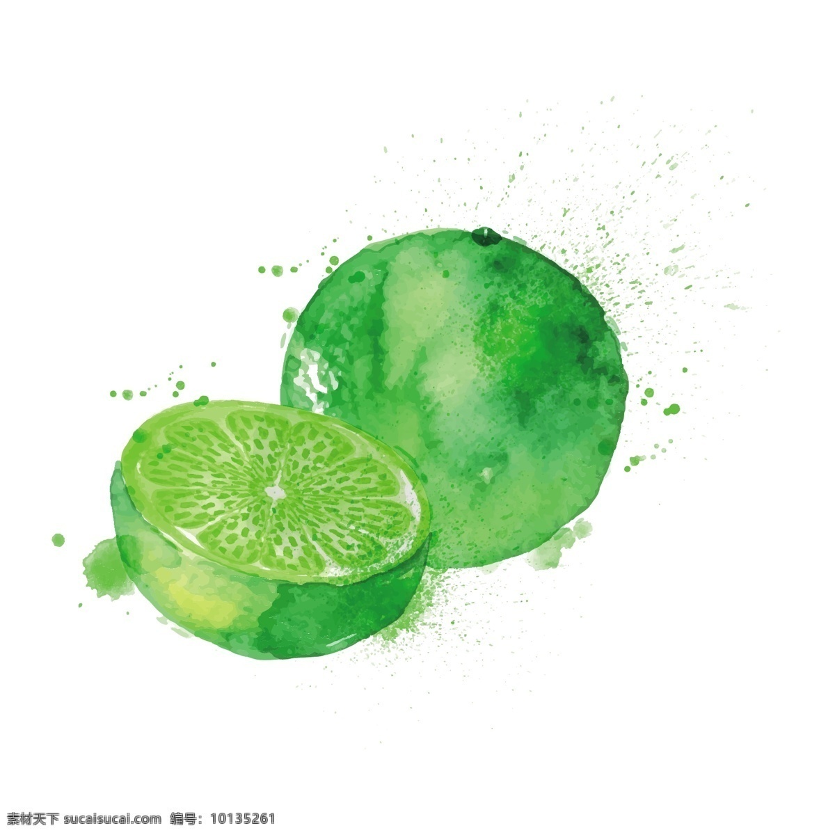 水彩 柠檬 矢量 手绘 卡通 可爱 美味 水彩的 手绘的 可爱的 美味的 水彩柠檬 绿色柠檬