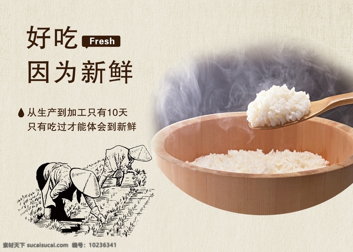 大米海报 大米 胚芽米 有机大米 杂粮 粗粮 五谷 饮食 五谷杂粮 大米广告 优质大米 东北大米 大米包装 大米宣传单 大米展板 大米折页 大米画册 大米包装袋 大米展架 大米水稻 米饭大米 水晶大米 米图片 大米名片 五常大米 大米糯米 杂交米 猫牙米 民以食为天 大米饭 农家大米 生态大米
