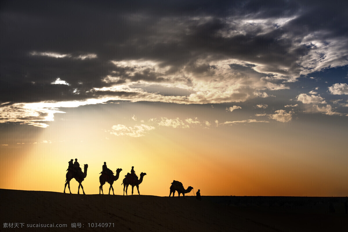 荒漠 骆驼 人物 行走