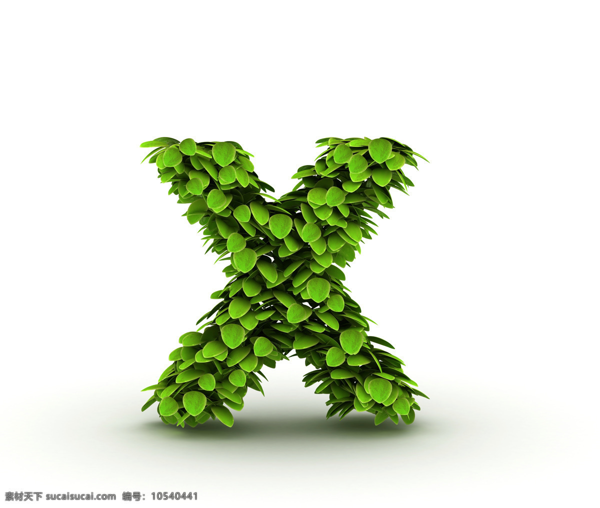 绿叶 组成 字母 x 树叶 叶子 文字 立体文字 书画文字 文化艺术 白色