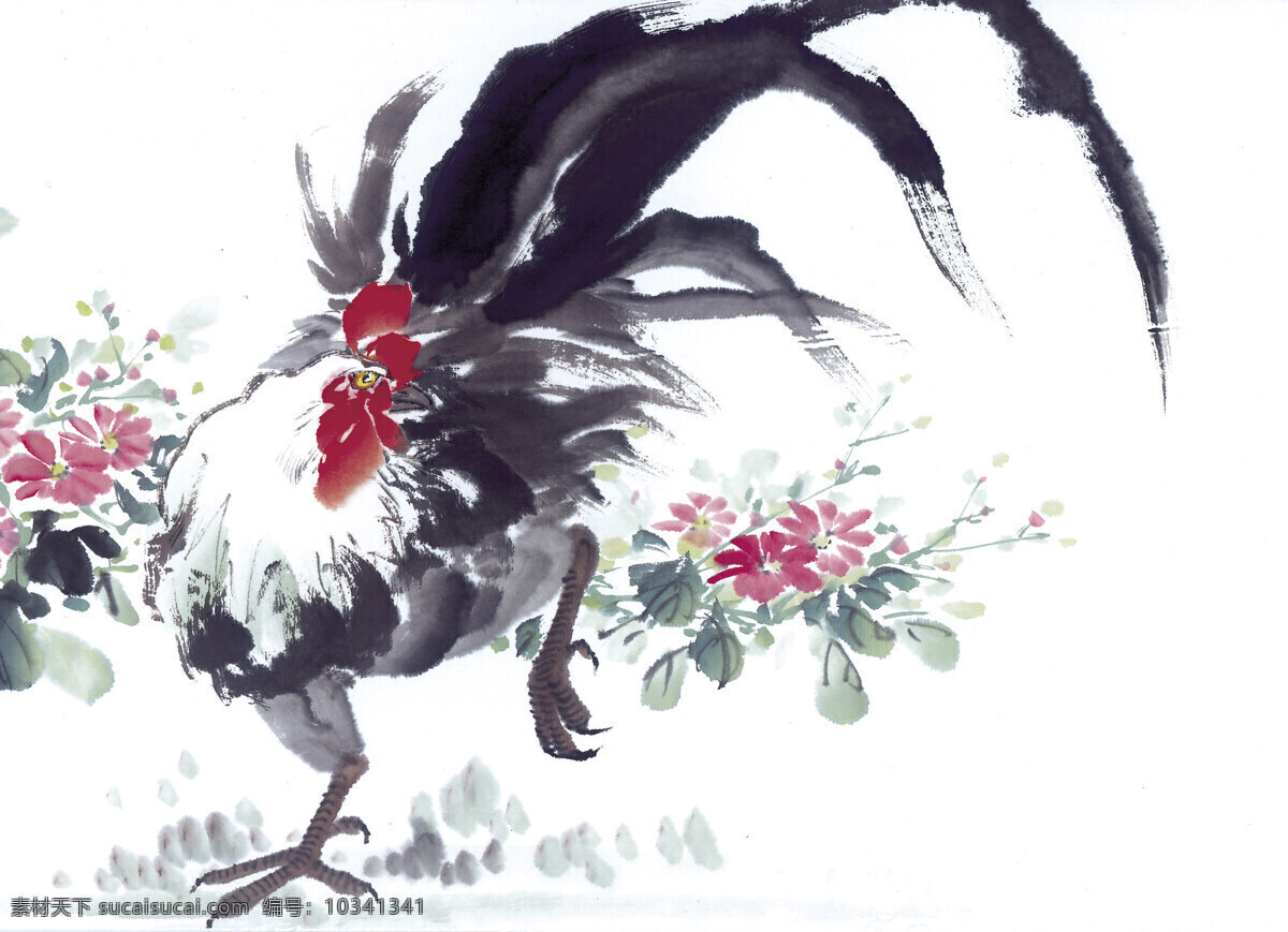 鸡 写意花鸟 国画0233 国画 设计素材 花鸟画篇 中国画篇 书画美术 白色