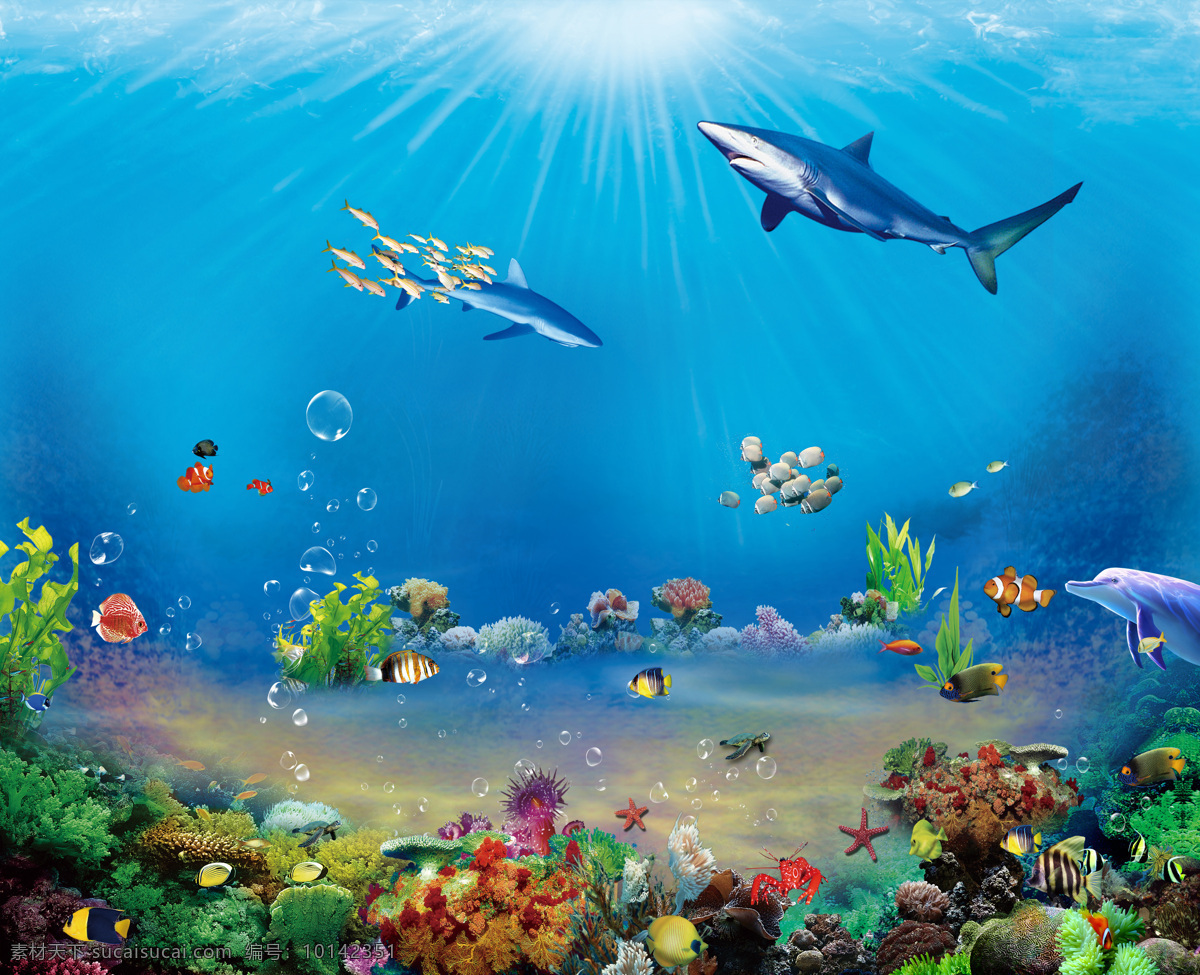 海底景色 鲸鱼 鲨鱼 贝壳 鱼群 阳光 珊瑚 教室 海豚 海底 素材图片 动漫动画