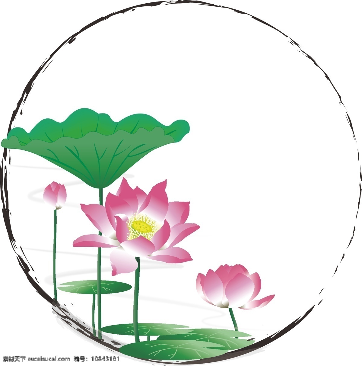 手绘 中国 风 水墨 边框 花卉 植物 荷花 装饰 元素 中国风 水墨元素