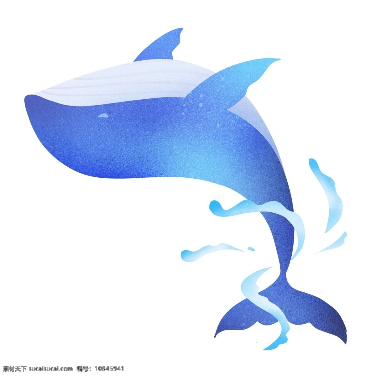 海洋生物海豚 海豚 动物 大海