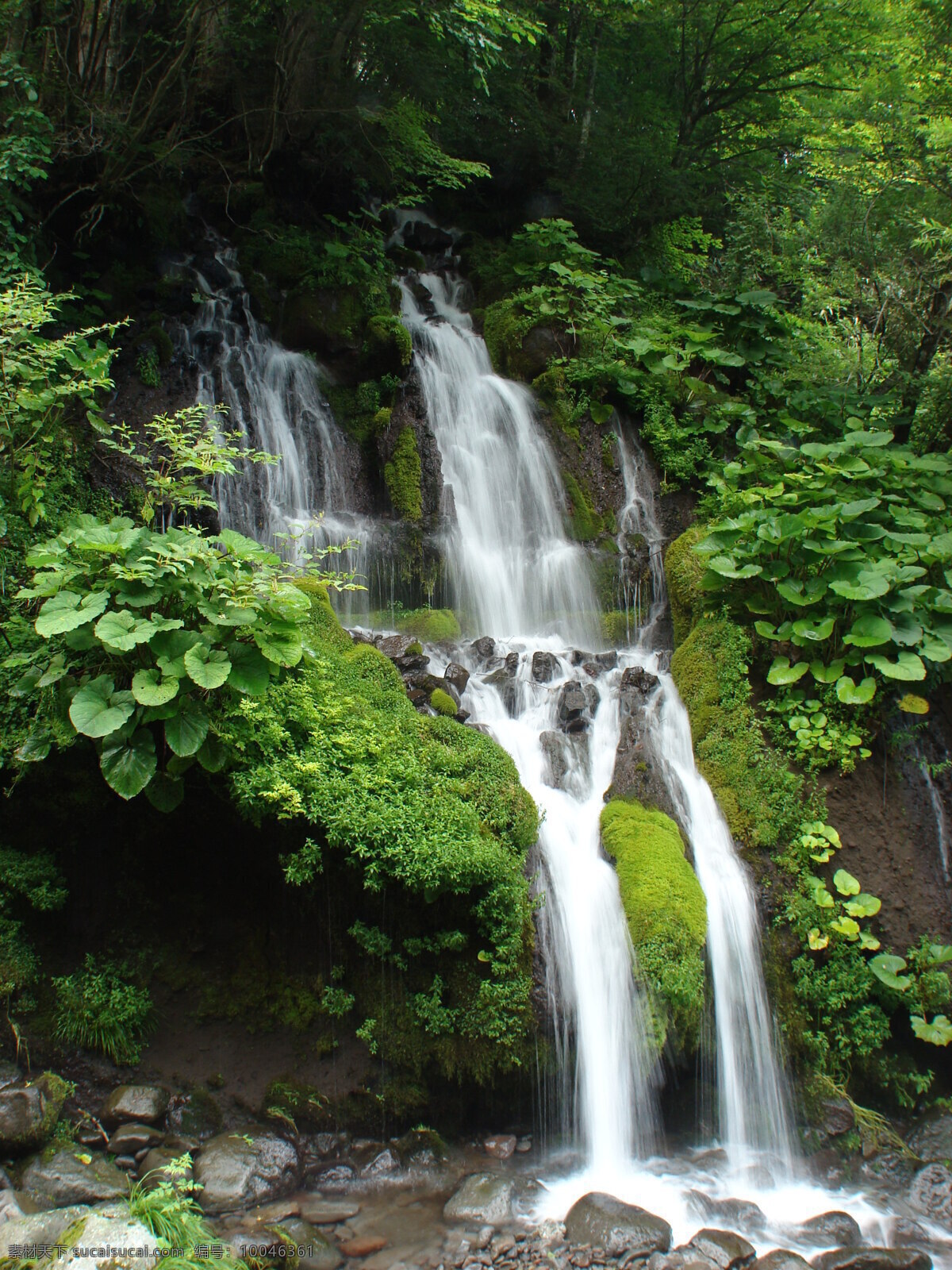 青山绿水 山涧溪水 流水 山涧 岩石 小流 溪流 山水风景美图 山水风景 自然景观