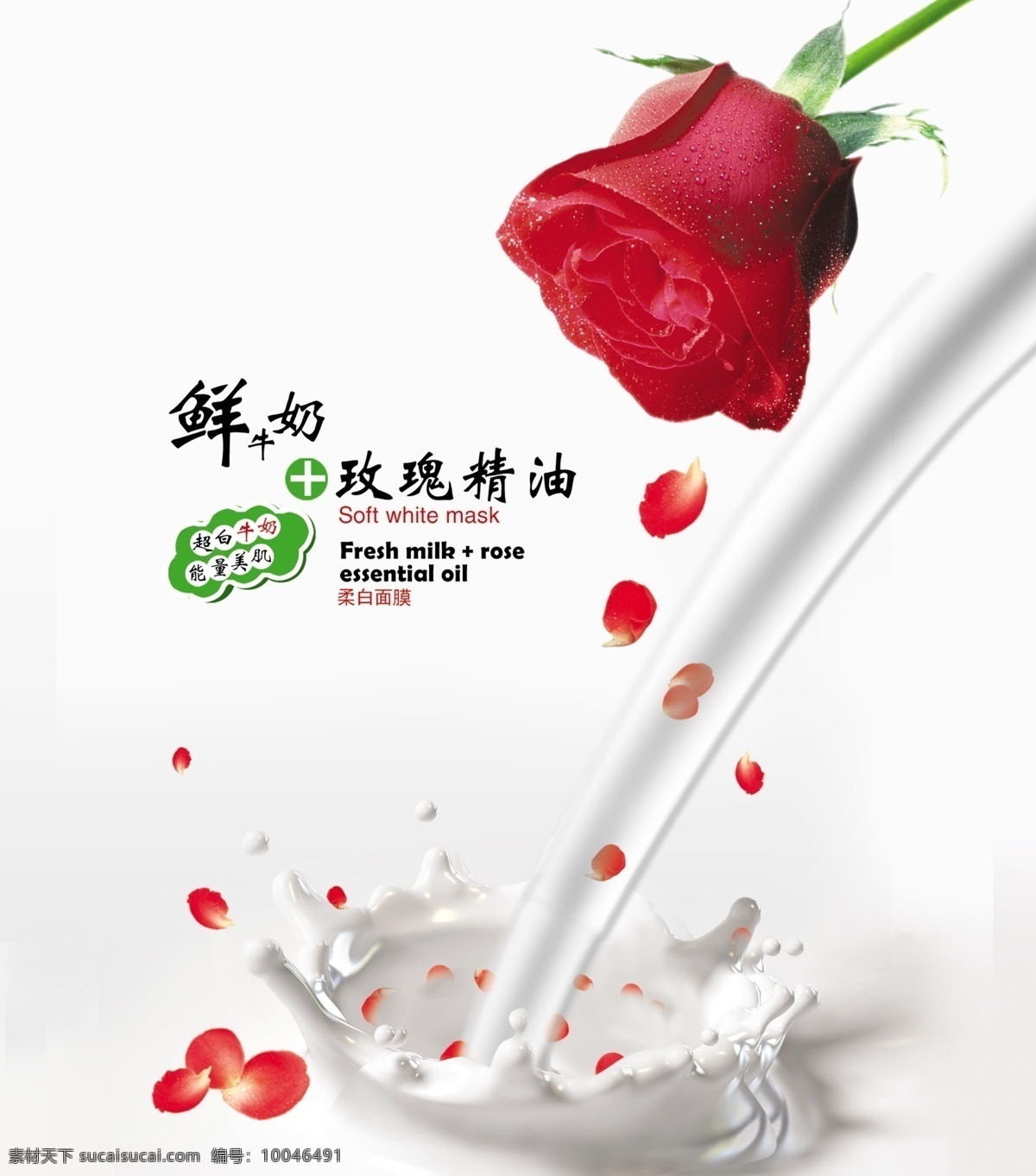 面膜广告宣传 中文字 英文字 玫瑰花 花朵 牛奶 白色渐变背景