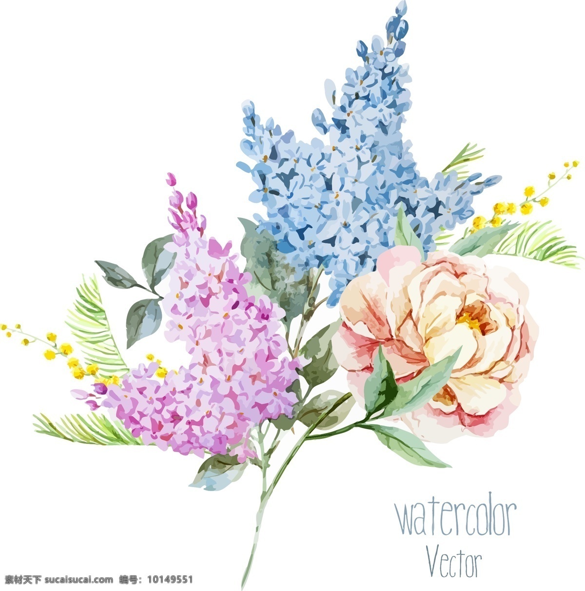 唯美 时尚 水彩 绘 花卉 植物 插画 花朵 手绘 水彩绘