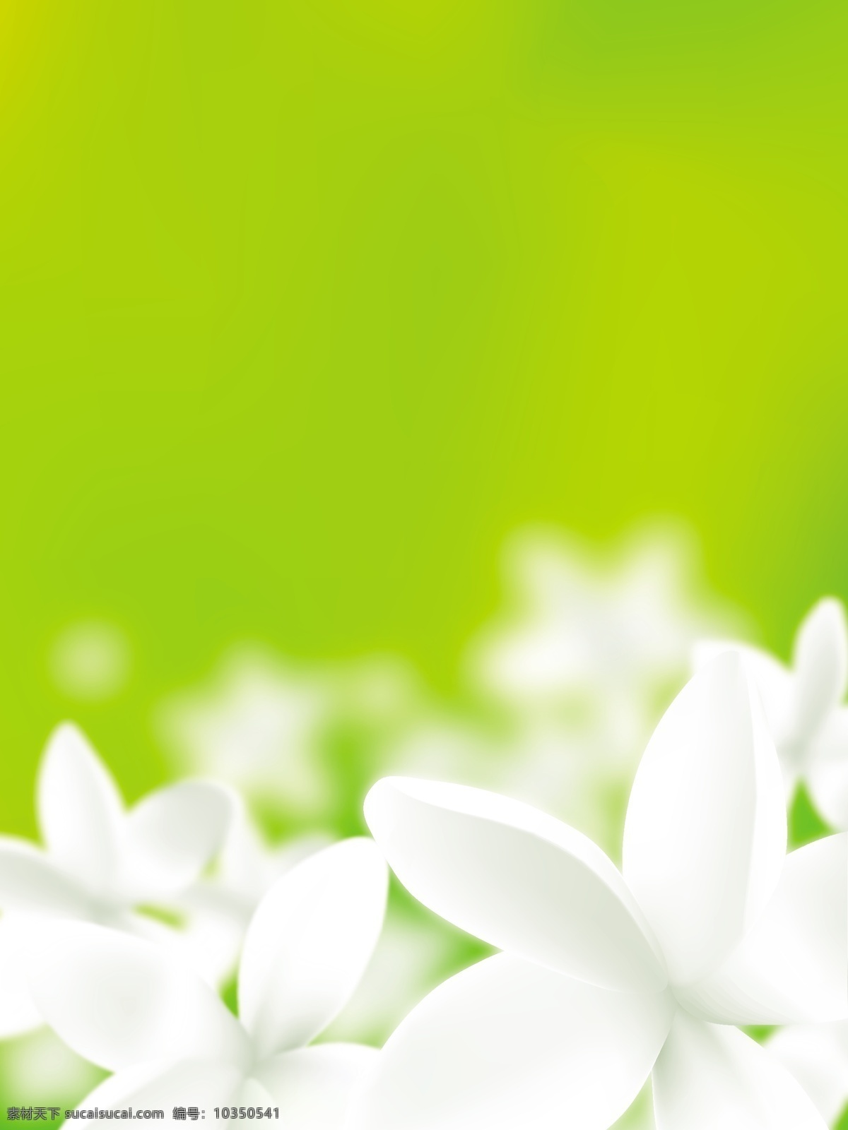 白色小花背景 鲜花背景 白色小花 鲜花背景边框 矢量花朵 春天主题背景 自然风光 空间环境 矢量素材