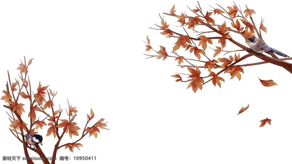 中国 风 花鸟 边框 红枫 麻雀 手绘 手绘枫树 树枝 鸟类 飞禽 手绘花鸟边框 ps 分层 源文件