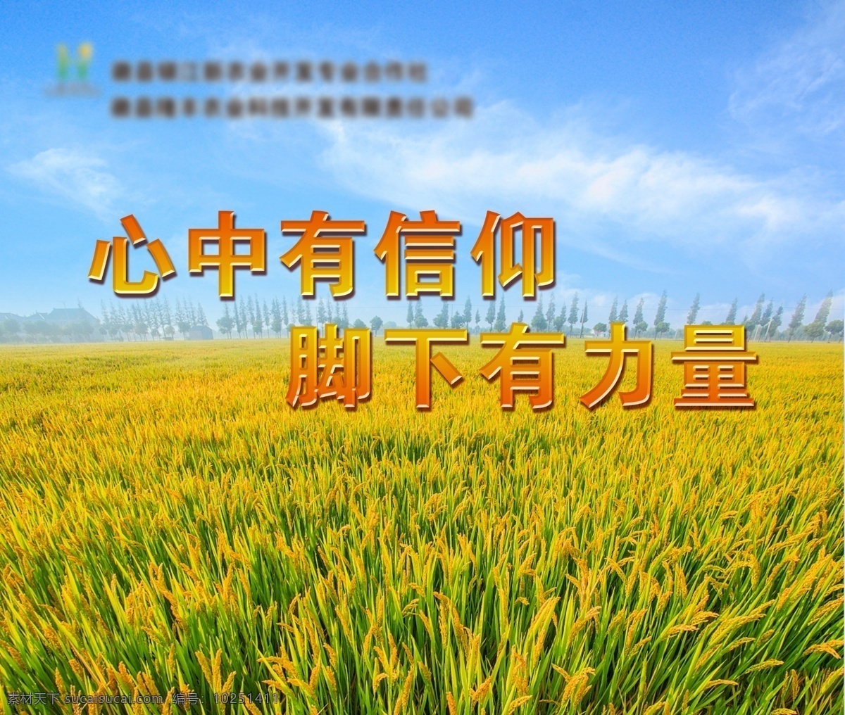 麦田 稻子 信仰 力量 企业展板 农业企业 企业文化 展板 谷图片 背景 大稻 展板模板
