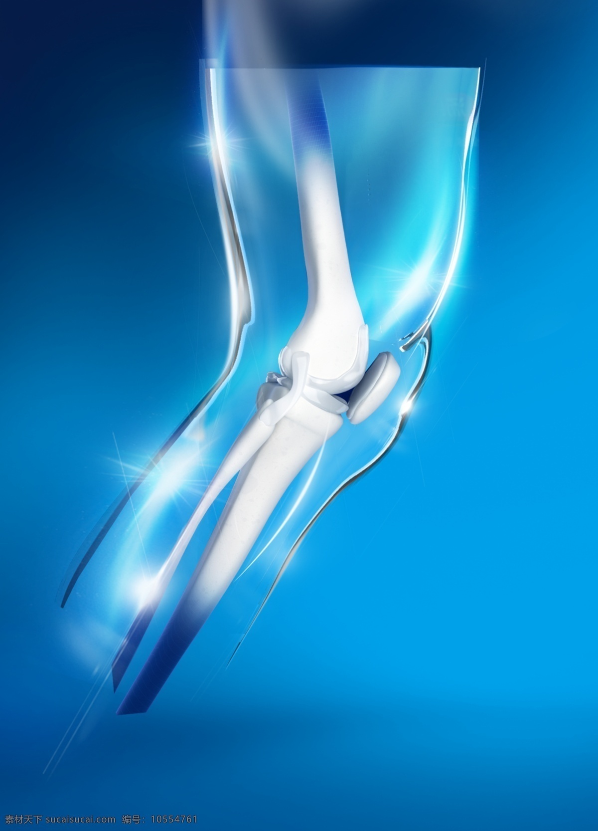 骨骼图片 骨骼 脚骨 膝盖骨 科技感 健康 光感 大腿 生活百科 医疗保健