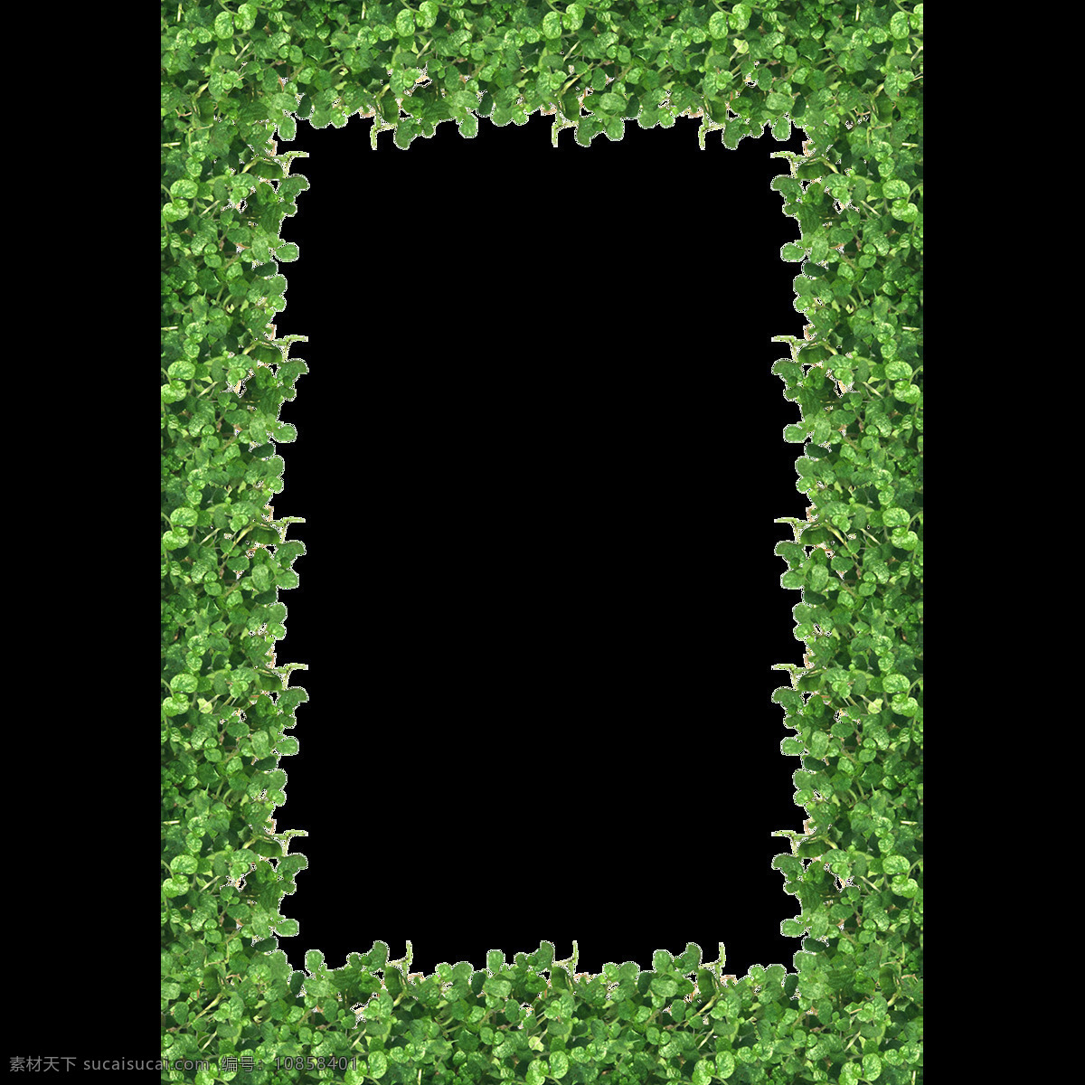 绿叶 边框 元素 树叶 框框 装饰 相框 长方形边框