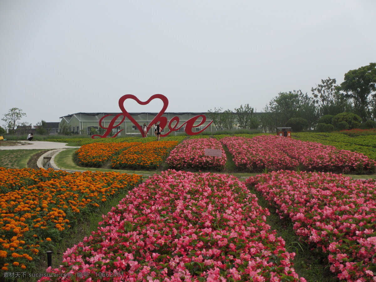 周浦花海 旅游景点 鲜花 怒放的花海 植物 园艺景观 旅游摄影 国内旅游