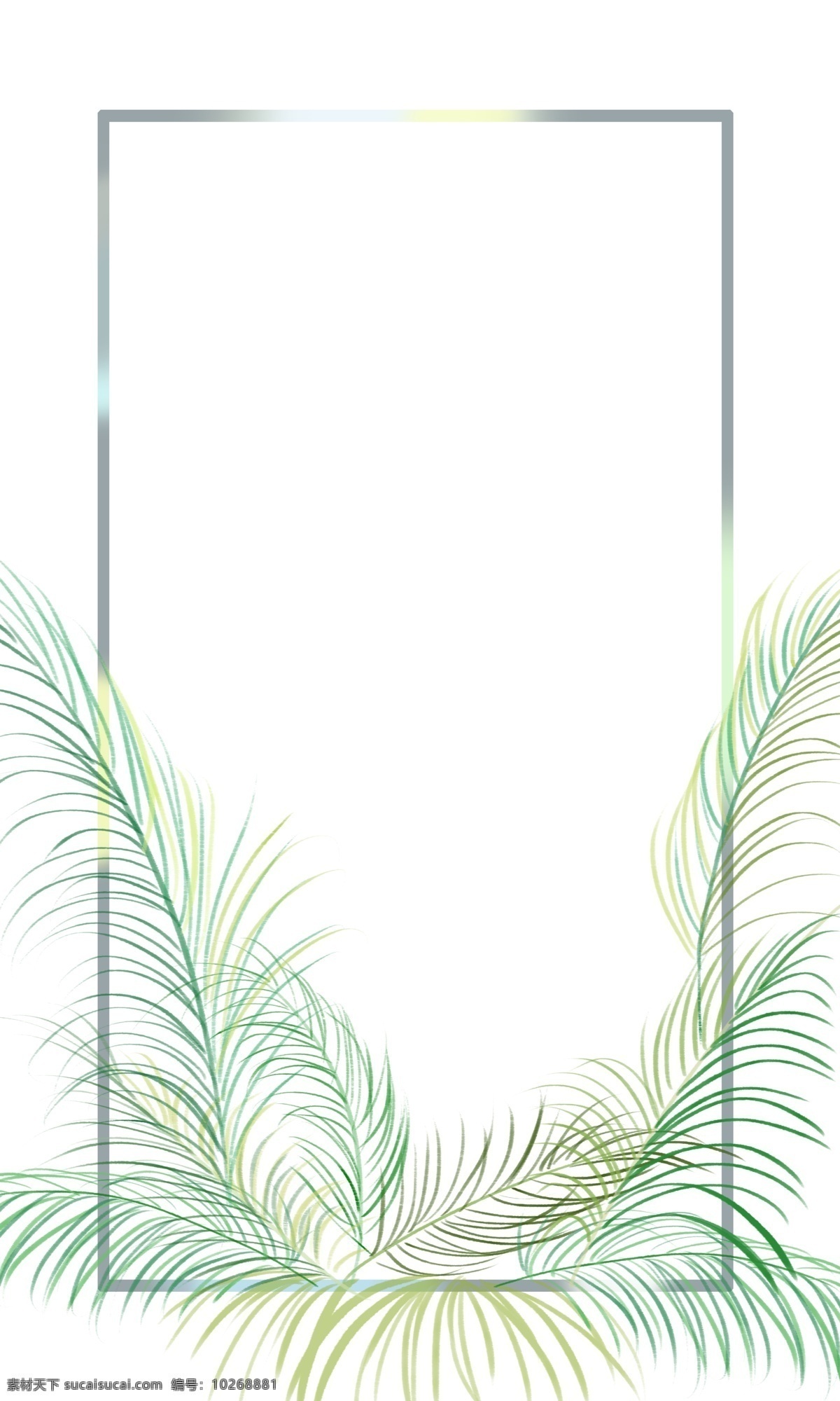棕榈树 边框 背景 免 扣 夏威夷 风格 可自行组合 绿色浪漫 海报背景