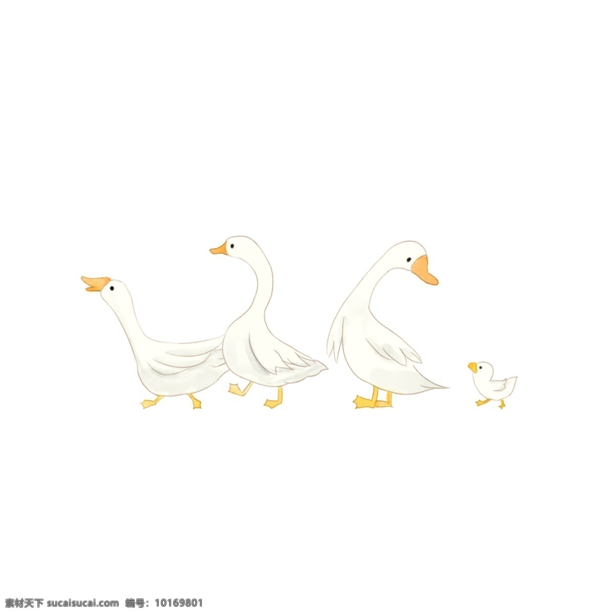 春季 卡通 手绘 小 鸭子 卡通鸭子 手绘小鸭子 手绘鸭子 白色鸭子 手绘小动物 免抠小鸭子 可爱的鸭子 鸭群