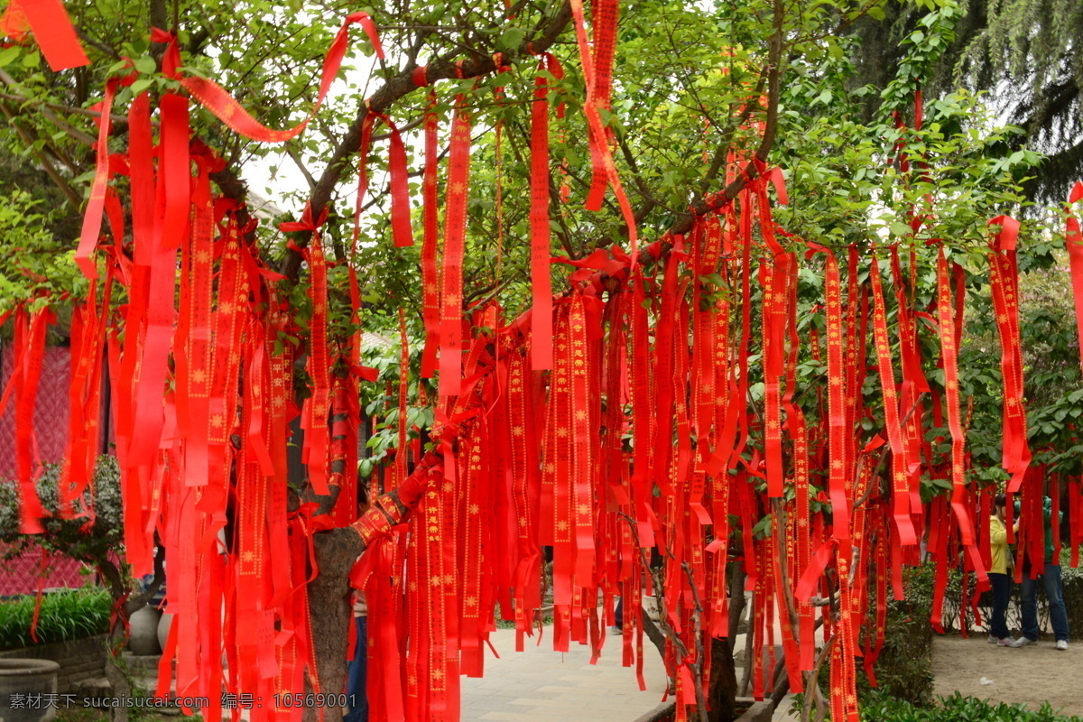 许愿 树 大树 红色 红色飘带 绿叶 梦想 祈祷 文化艺术 许愿树 许愿带 愿望 宗教信仰