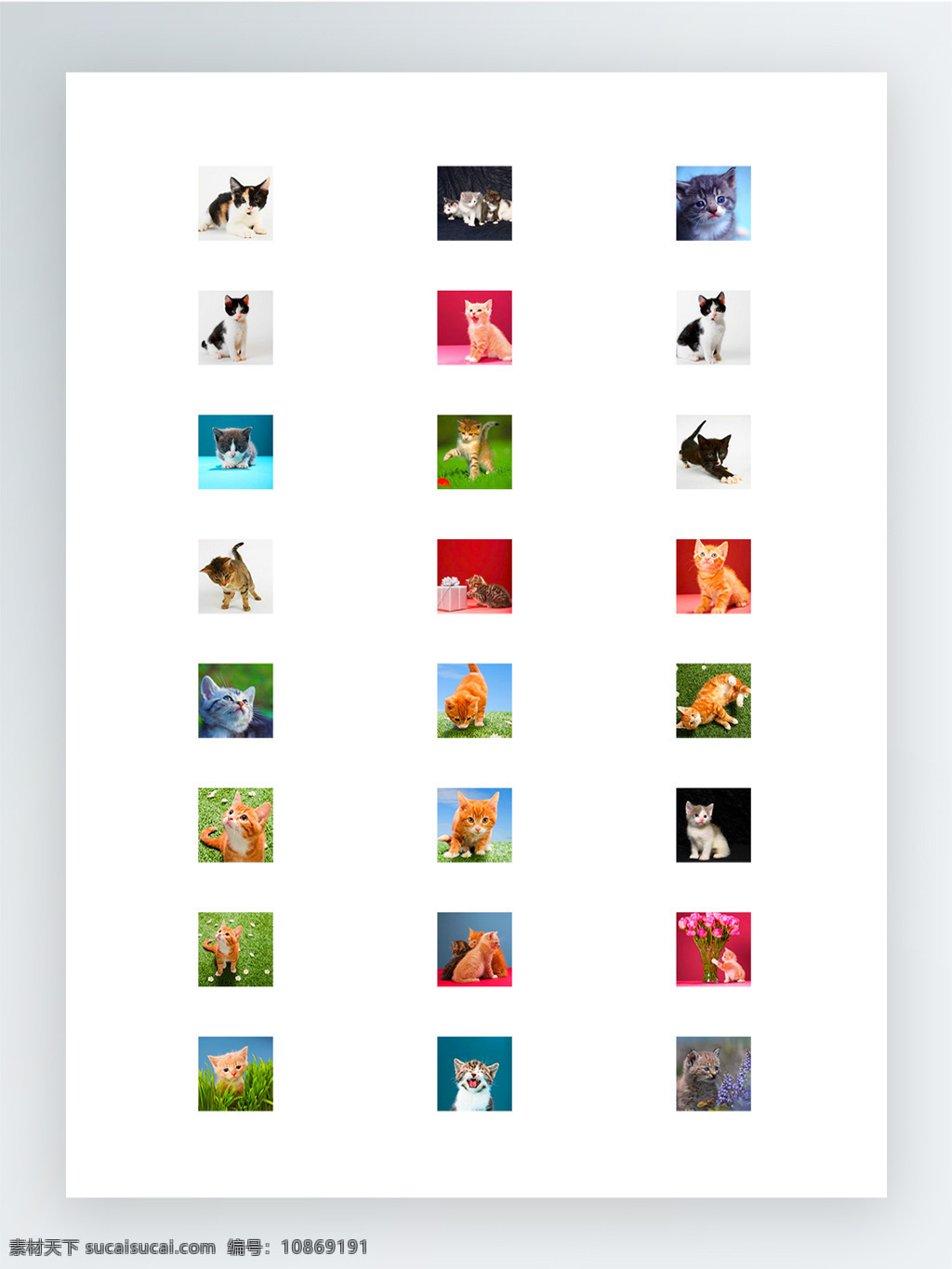 超 可爱 猫咪 摄影作品 图标 集 超萌 超可爱 图标集