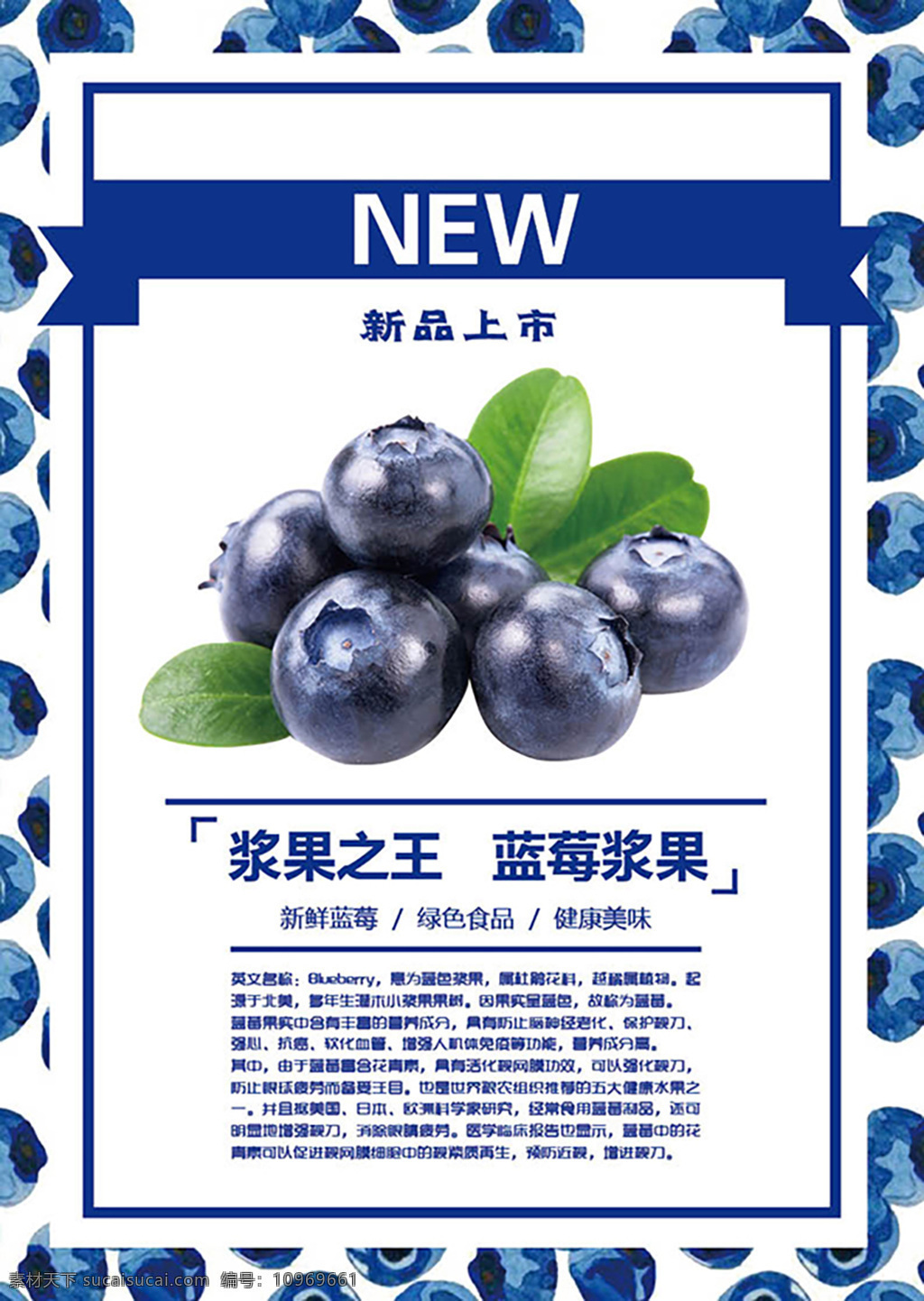 蓝莓 新品上市 海报 食品 彩页 蓝莓宣传 蓝莓新品