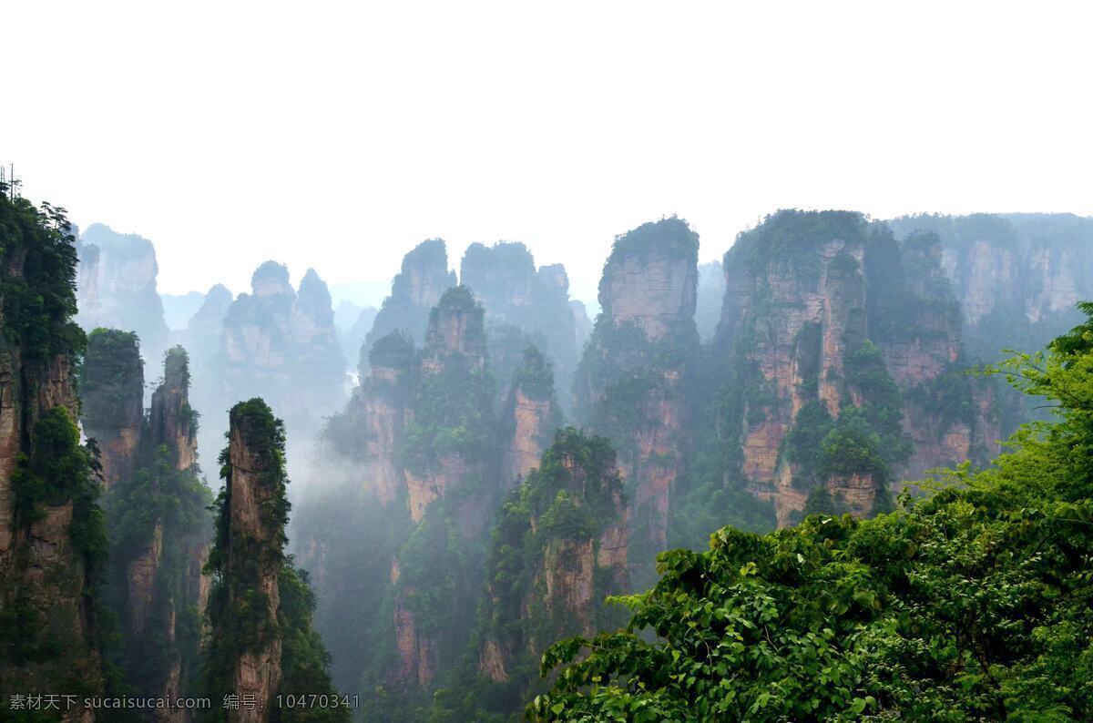 张家界 云雾 雨后 名胜 武陵源 奇石 风景 松树 绝景 山景 自然景观 自然风景