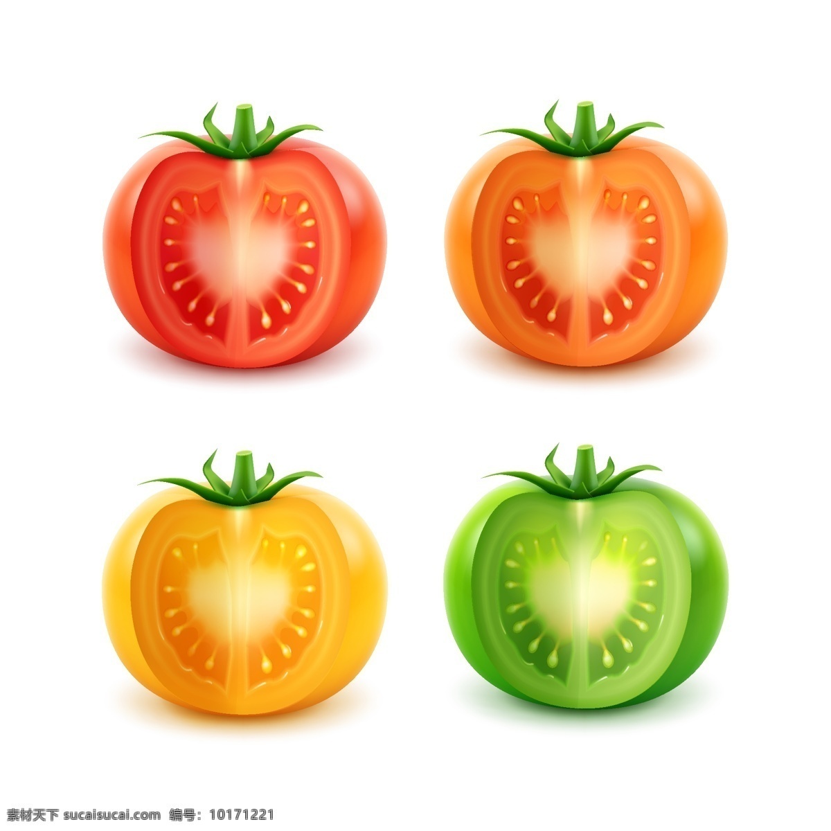 不同 颜色 西红柿 番茄 红色番茄 橙色番茄 黄色番茄 绿色番茄 矢量 高清图片