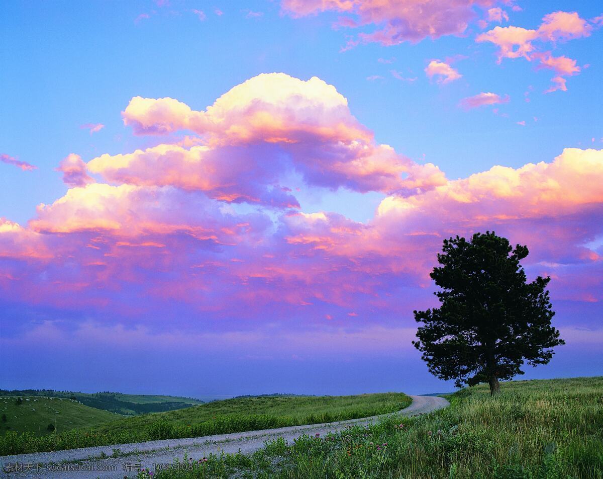 野外风光 野外 野草 野花 草地 小路 树木 天空 云彩 红色的云 彩云满天 自然景观 山水风景 摄影图库