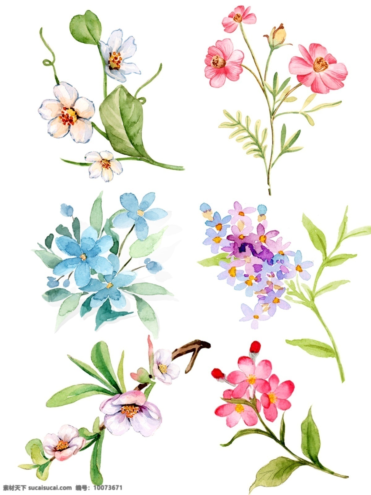 小 清新 水彩 手绘 各类 花草 植物 元素 合集 小清新 小雏菊 小兰花 绣球花 桃花 水彩手绘花草 花草植物合集 花菜元素