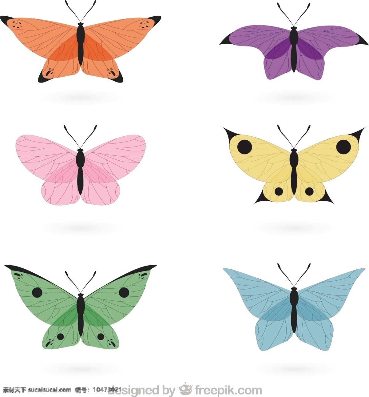 手绘 精巧 蝴蝶 颜色 一方面 自然 动物 可爱 色彩 绘画 飞 美丽 可爱的动物 昆虫 飞行 绘制草图 草图 白色