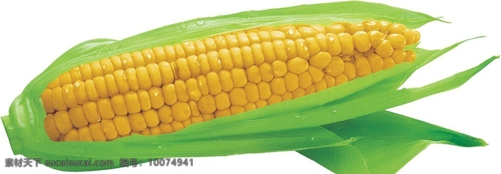 玉米 食物 粮食 分层 源文件