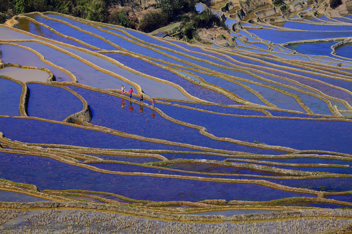 云南 元阳 梯田 风景