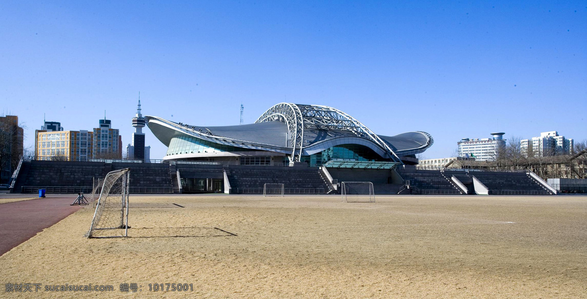 学校 操场 风景 建筑 建筑园林 体育馆 园林建筑 足球场 矢量图 日常生活