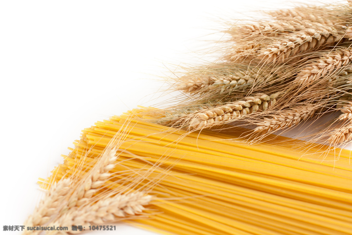 麦穗 小麦 麦子 粮食 面食 金黄 农业生产 现代科技
