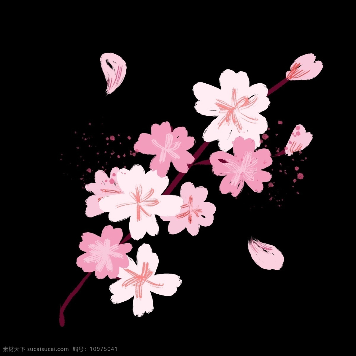 盛开 粉色 樱花 插画 盛开的樱花 卡通插画 樱花插画 花朵插画 鲜花插画 花瓣插画 春天的樱花