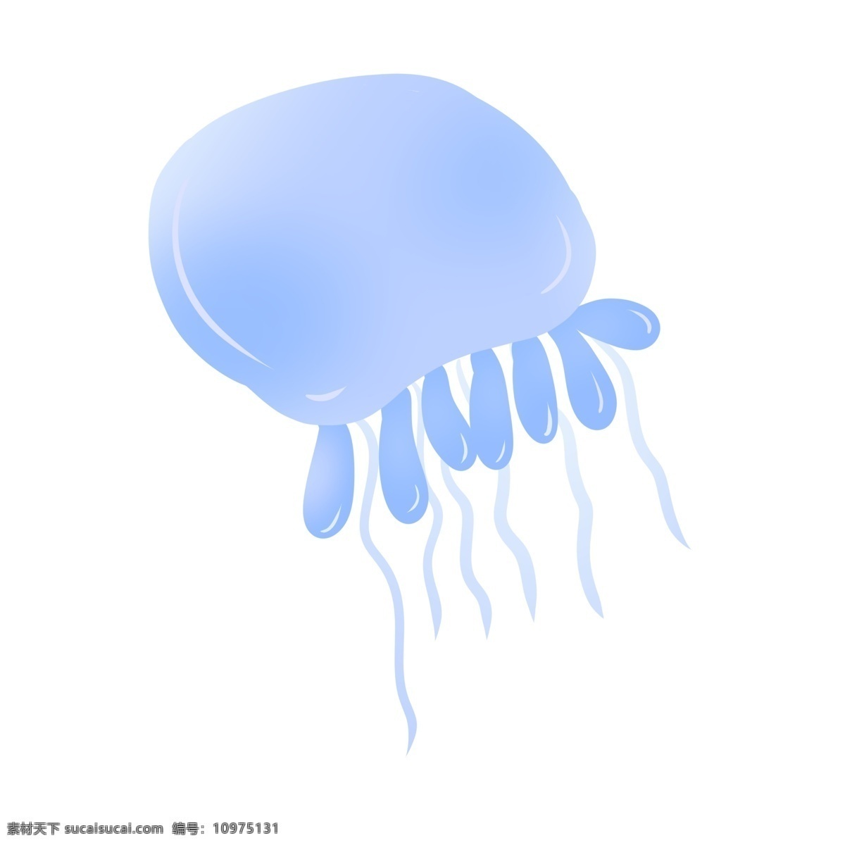 蓝色海洋水母 水母 动物 海洋生物