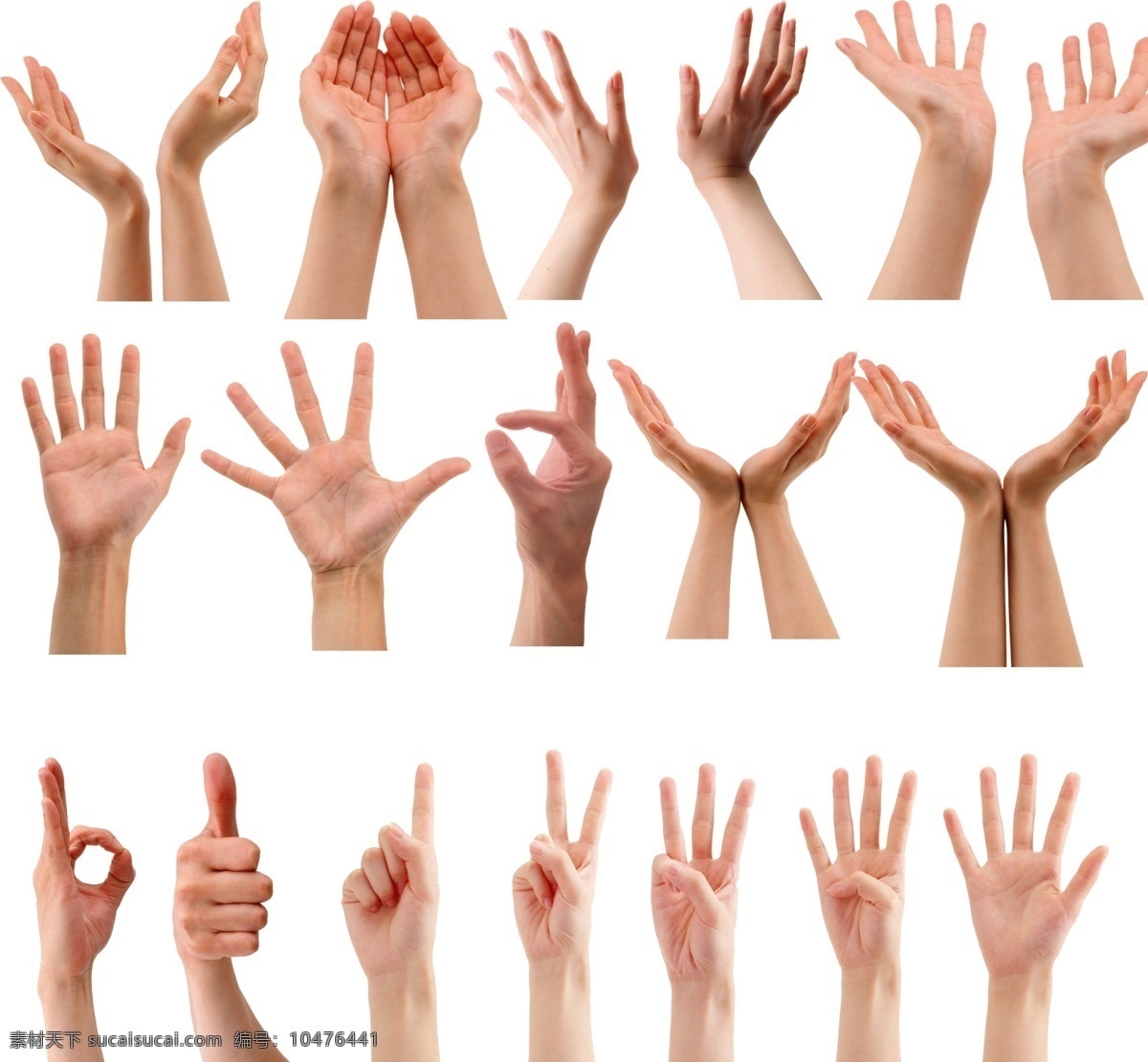各式手型 手型素材 手形状 手语 手素材 分层素材 分层