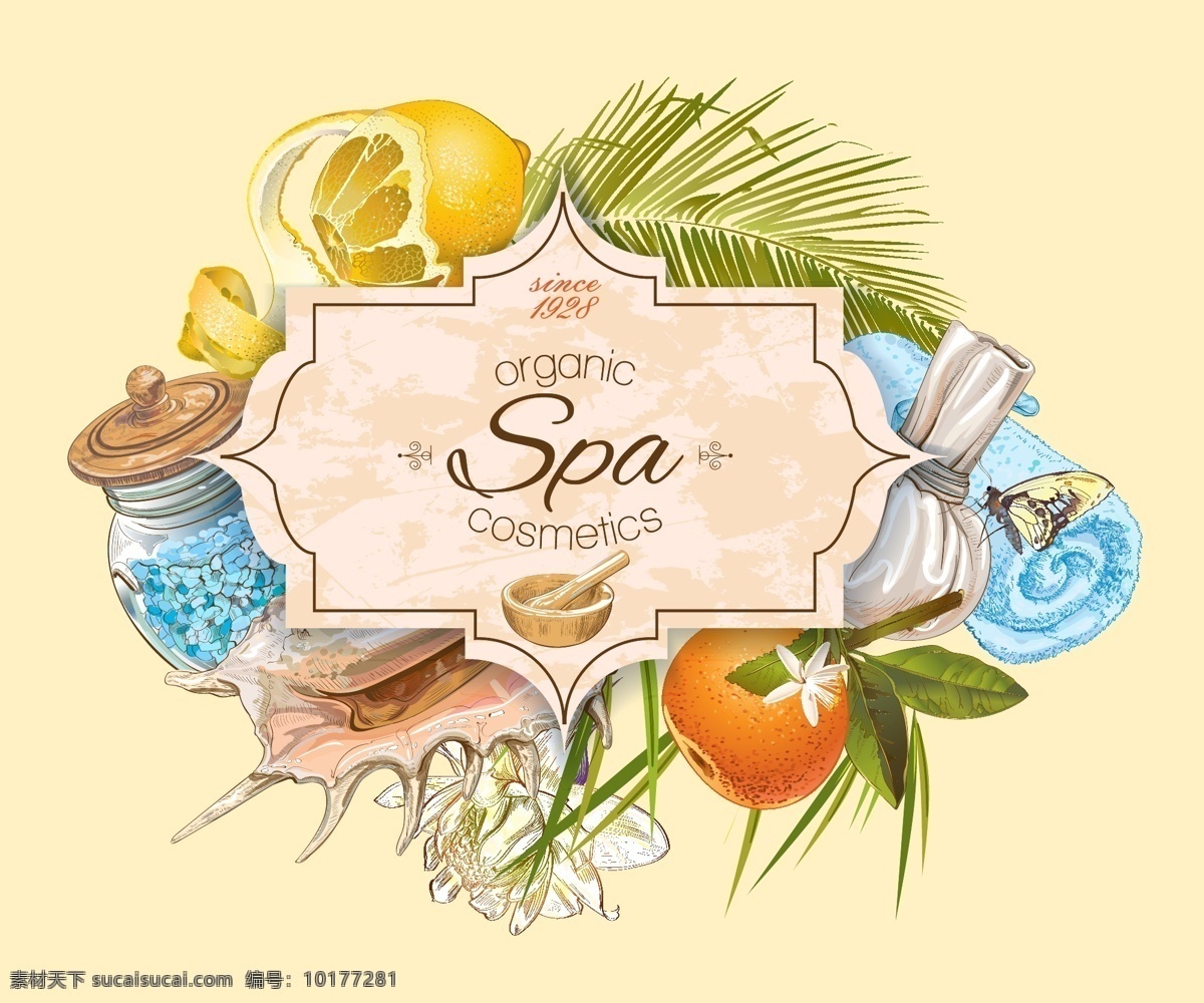 手绘 美容 spa 用品 水果