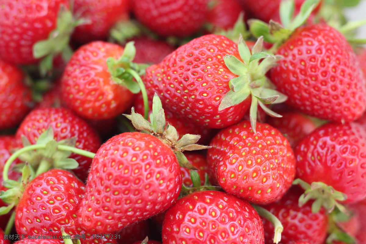 维生素 健康食物 绿色食物 草莓 高清水果图 健身食物 营养水果 生物世界
