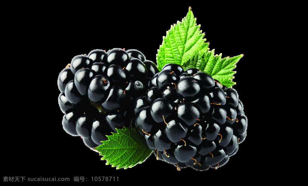 水果 蓝莓 元素 png元素 免抠元素 农产品 透明元素