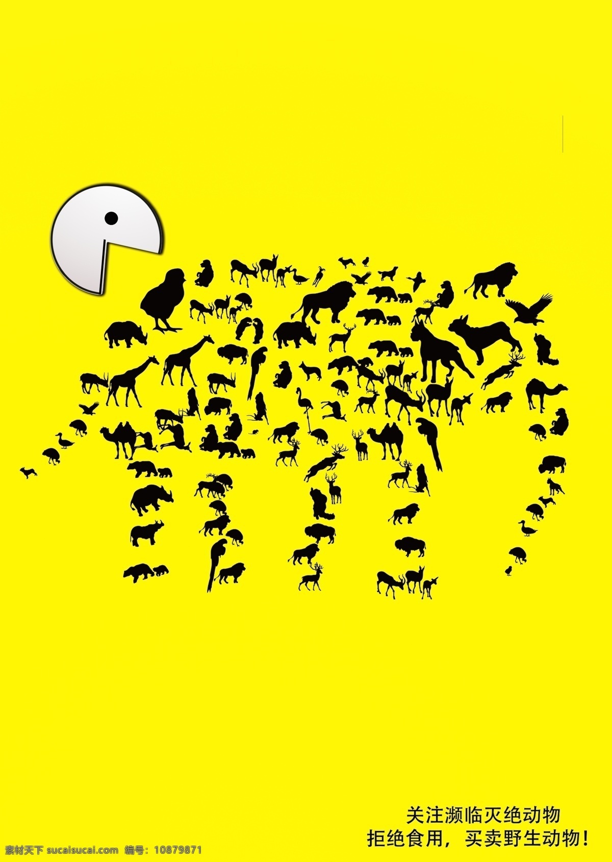 大象 保护 动物 公益 海报 黄色 公益广告 保护单位 简洁 展板
