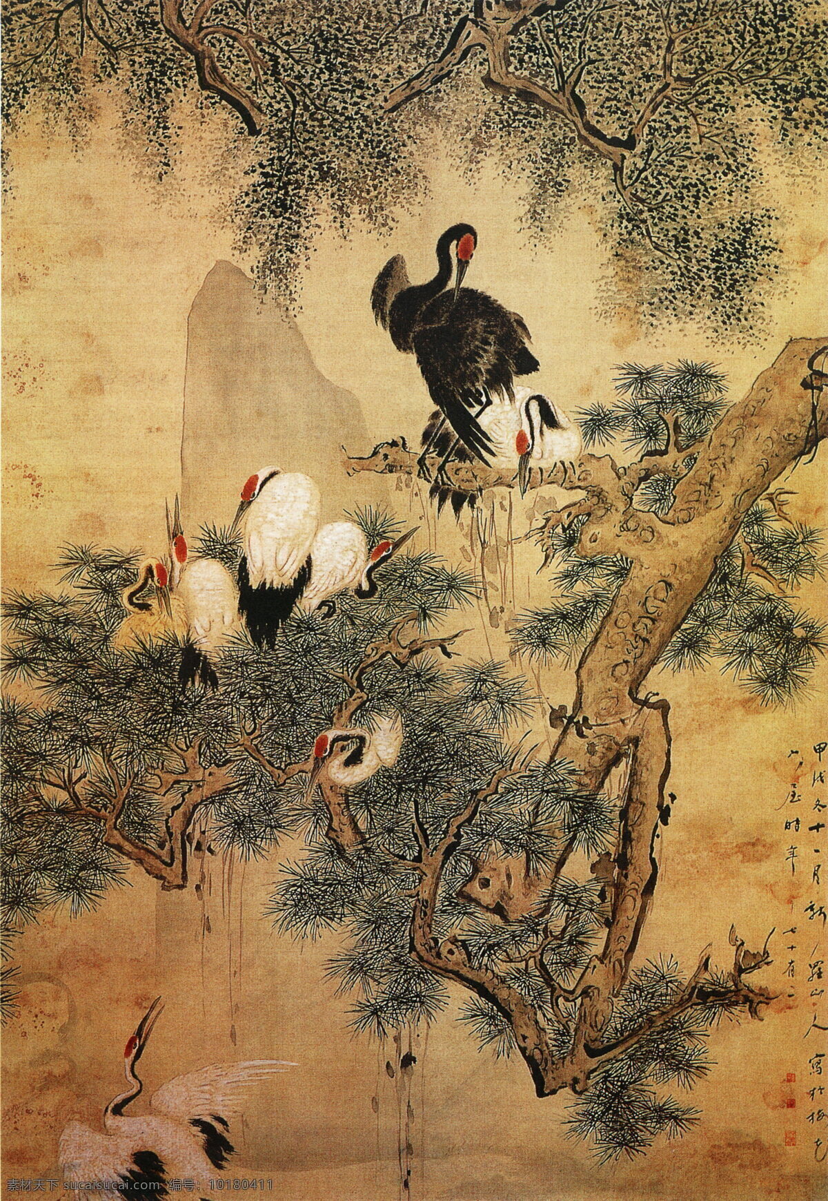 松鹤图 花鸟画 中国 古画 中国古画 设计素材 花鸟名画 古典藏画 书画美术 棕色