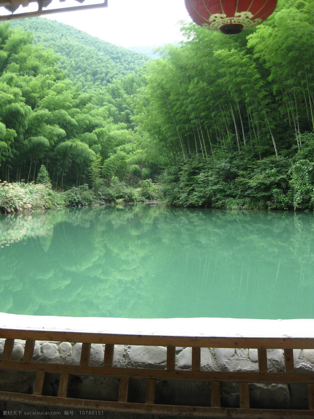 翠湖 萌 荫 竹海风光 风光诱人 秀色可餐 风景 生活 旅游餐饮