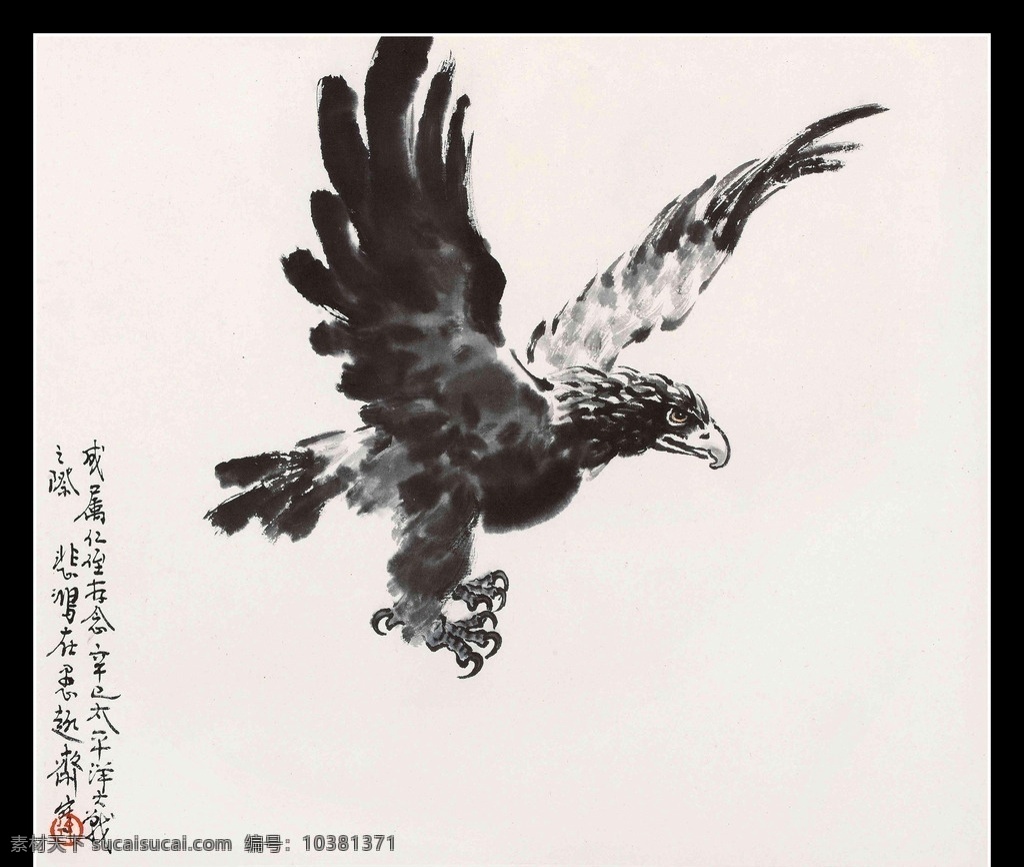 飞鹰素材图片下载-素材编号10381371-素材天下图库