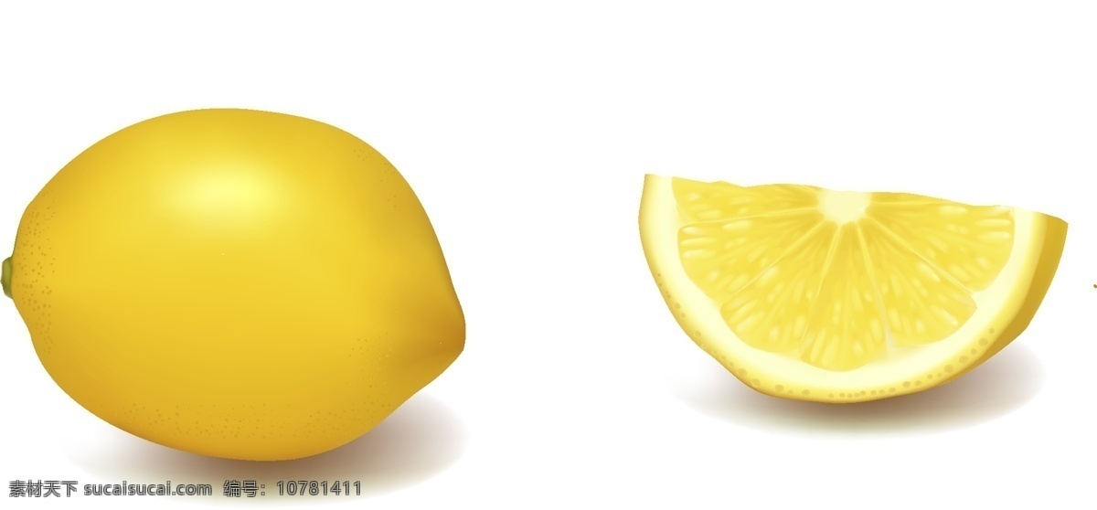 柠檬 其他矢量 矢量素材 矢量图库 水果 写实 柠檬矢量素材 柠檬模板下载 矢量 日常生活