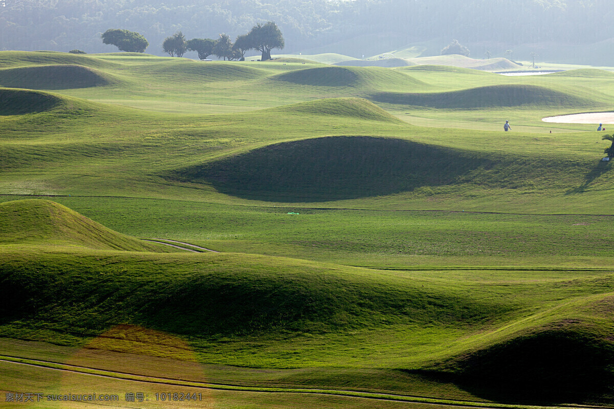 美丽 高尔夫球场 风景 草坪 草地 绿地 美丽风景 高尔夫俱乐部 自然风景 自然景观 黑色
