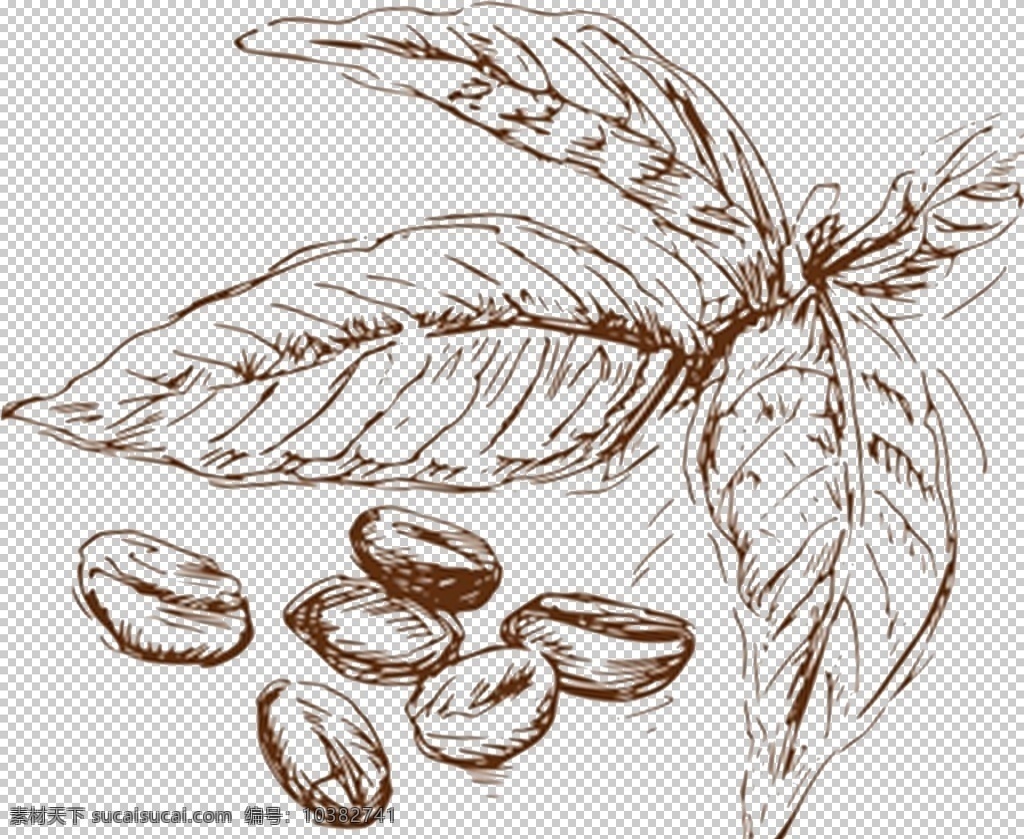 咖啡素材 咖啡叶 咖啡豆 可可豆 免抠 矢量 标志图标 其他图标