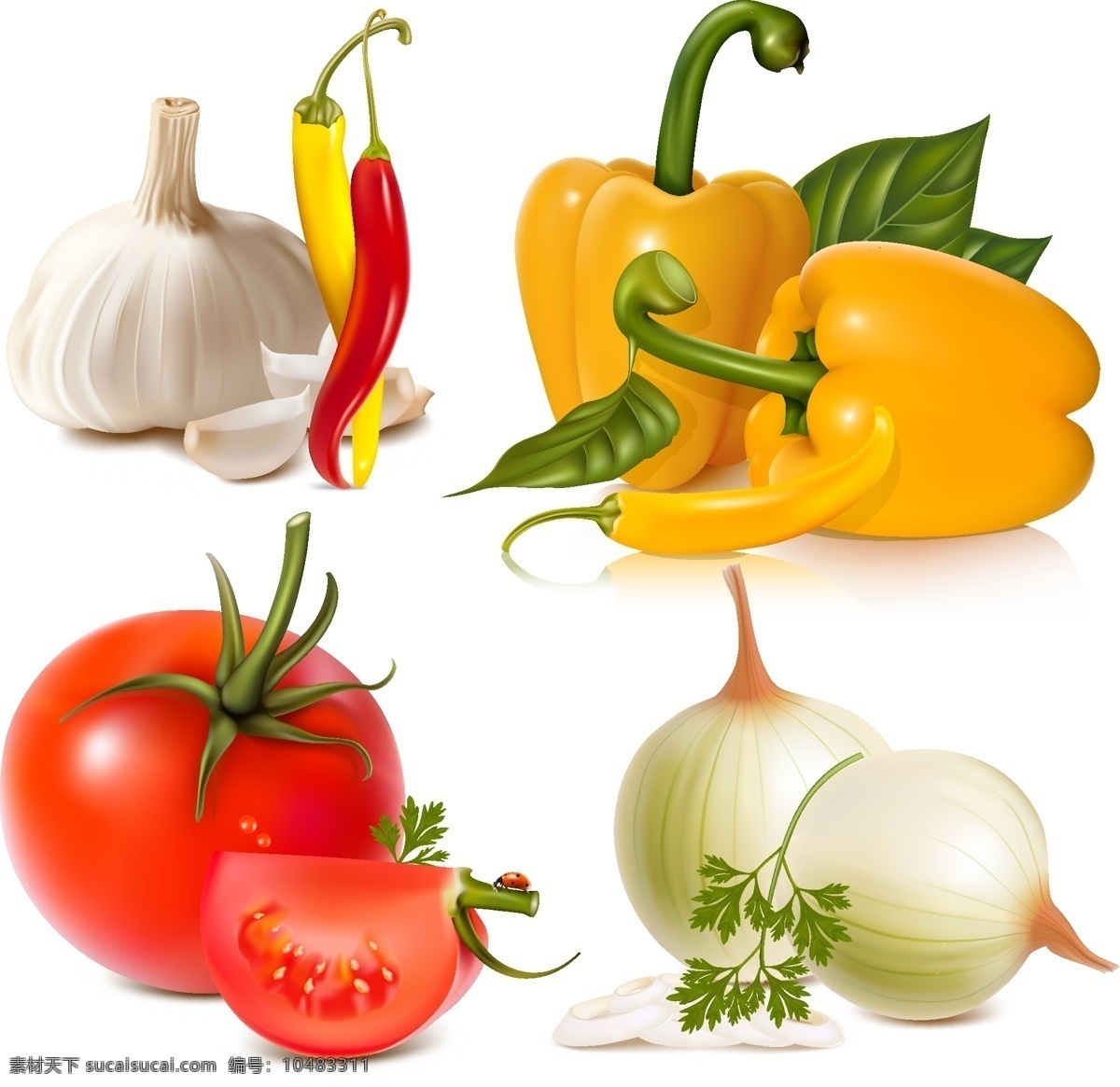 蔬菜 图像 矢量 大蒜 辣椒 洋葱 西红柿的叶子 矢量图 日常生活
