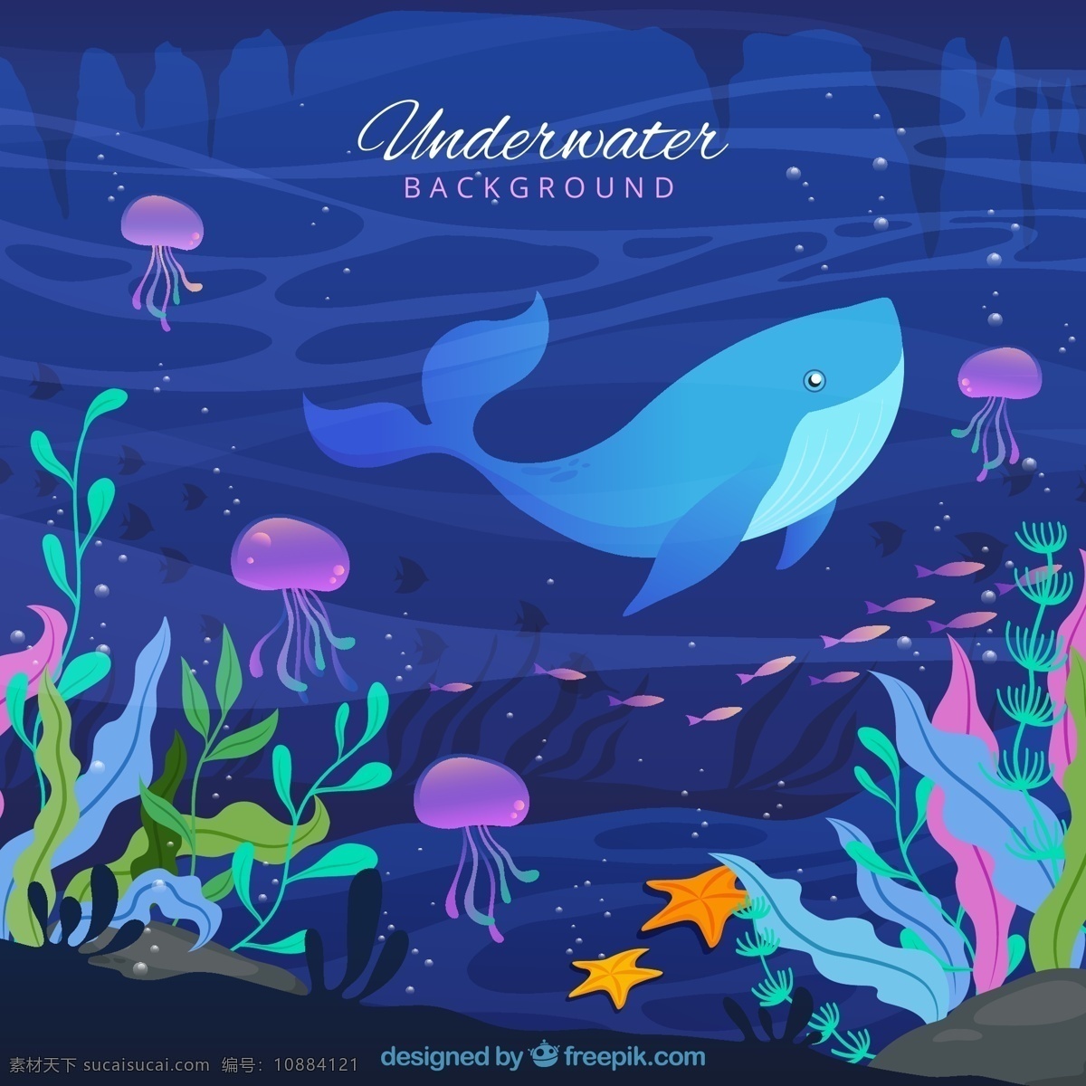 创意 海底 鱼群 鲸鱼 水母 大海 海星 珊瑚 海草 海洋 气泡 文化艺术 绘画书法
