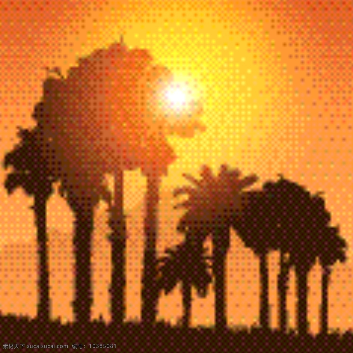 热带 景观 落日 天空 棕榈树 剪影 夕阳 橙色