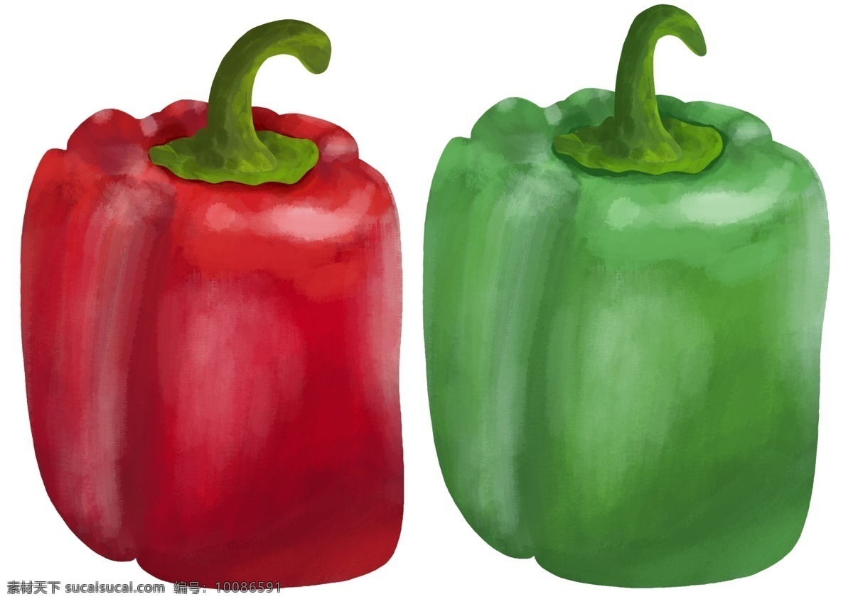蔬菜 青红 辣椒 插画 蔬菜插画 新鲜的蔬菜 有机的蔬菜 红色的辣椒 辛辣的调料 进口的辣椒 青色 绿色 红色