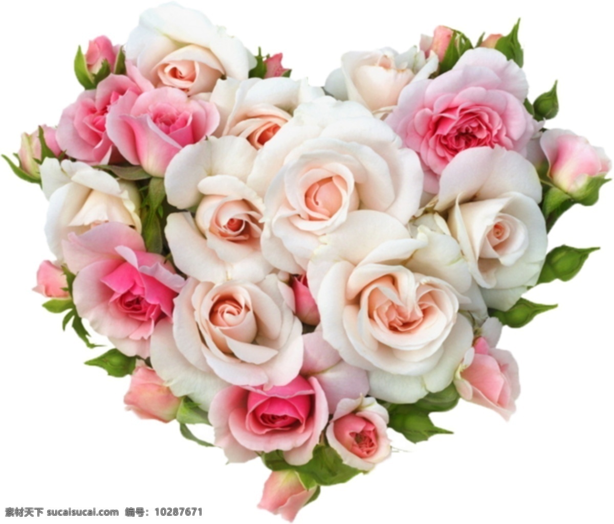 心形花 心形 花 玫瑰 月季 鲜花 一束鲜花 一捧鲜花 一束花 一捧花 手捧花 素材图